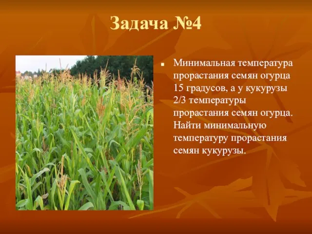 Задача №4 Минимальная температура прорастания семян огурца 15 градусов, а у кукурузы