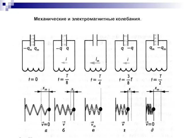 Механические и электромагнитные колебания.