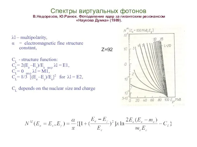 Спектры виртуальных фотонов В.Недорезов, Ю.Ранюк. Фотоделение ядер за гигантским резонансом «Наукова Думка»