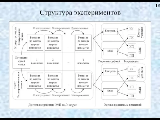 Структура экспериментов 18