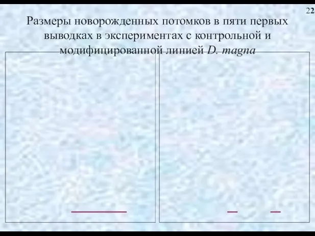 Размеры новорожденных потомков в пяти первых выводках в экспериментах с контрольной и