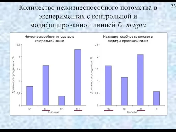 Количество нежизнеспособного потомства в экспериментах с контрольной и модифицированной линией D. magna 23