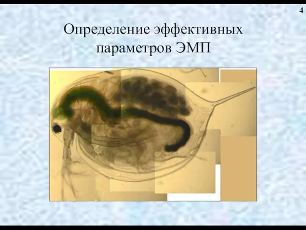 Определение эффективных параметров ЭМП 4