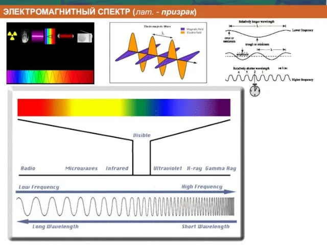 ЭЛЕКТРОМАГНИТНЫЙ СПЕКТР (лат. - призрак)