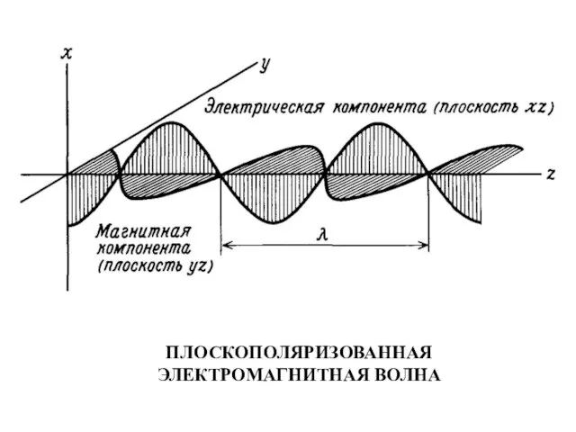 ПЛОСКОПОЛЯРИЗОВАННАЯ ЭЛЕКТРОМАГНИТНАЯ ВОЛНА