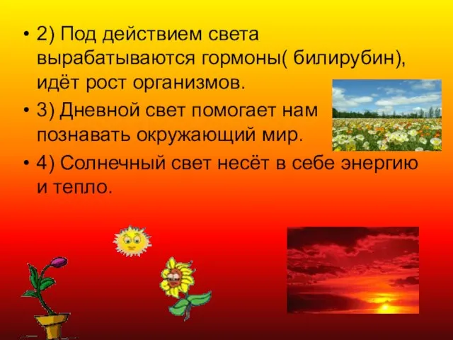 2) Под действием света вырабатываются гормоны( билирубин), идёт рост организмов. 3) Дневной