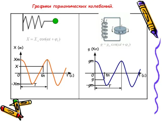 Графики гармонических колебаний. Х (м) t (c) g (Кл) t (c) Хm