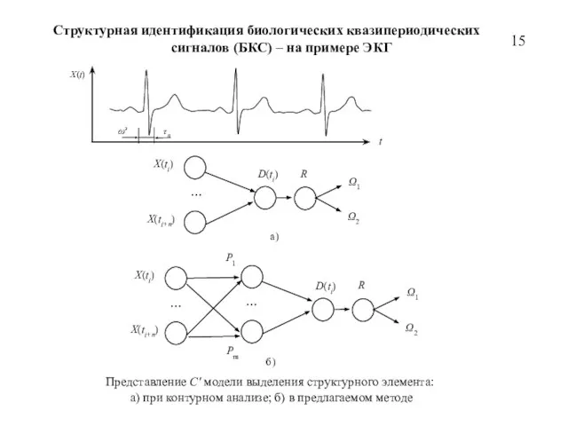 Структурная идентификация биологических квазипериодических сигналов (БКС) – на примере ЭКГ 15 Представление