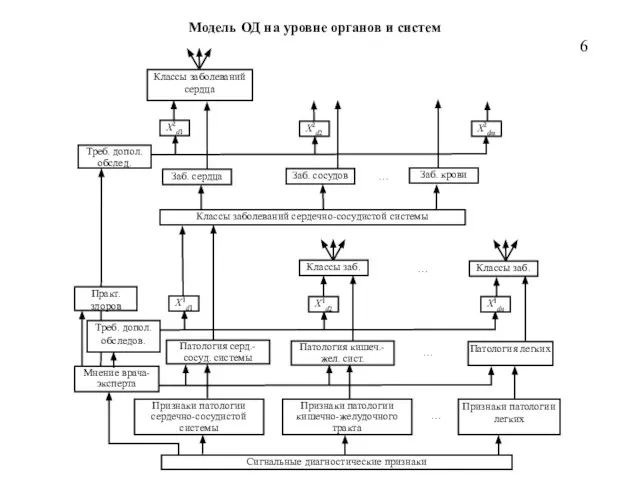 Модель ОД на уровне органов и систем 6