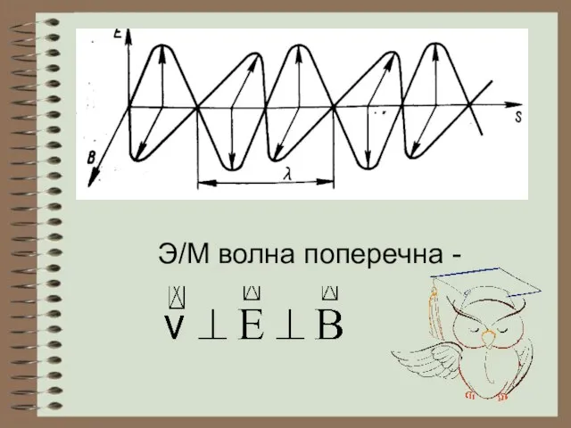 Э/М волна поперечна -