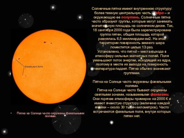 Солнечные пятна имеют внутреннюю структуру: более темную центральную часть – ядро –