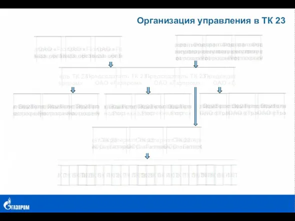 Организация управления в ТК 23