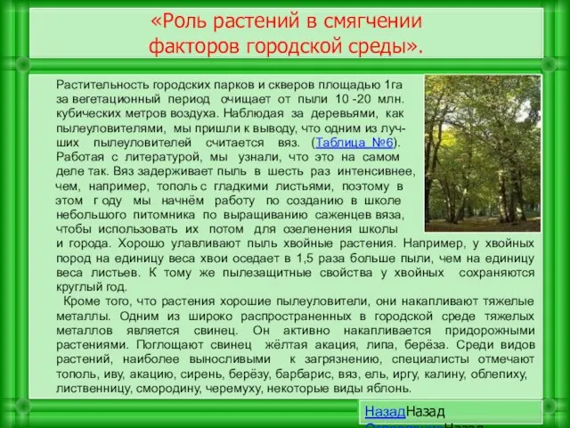 «Роль растений в смягчении факторов городской среды». Растительность городских парков и скверов