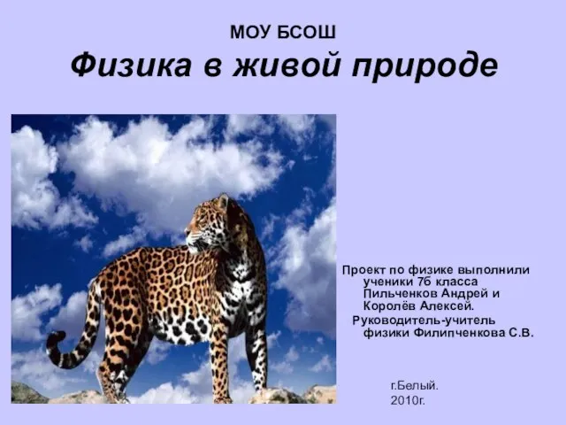 МОУ БСОШ Физика в живой природе Проект по физике выполнили ученики 7б