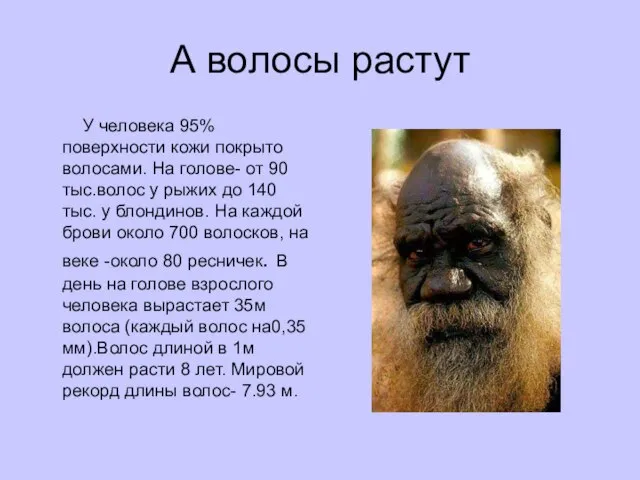 А волосы растут У человека 95% поверхности кожи покрыто волосами. На голове-