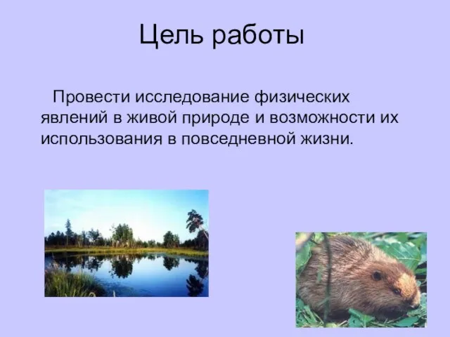 Цель работы Провести исследование физических явлений в живой природе и возможности их использования в повседневной жизни.