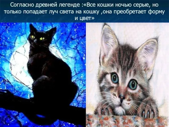 Согласно древней легенде :«Все кошки ночью серые, но только попадает луч света