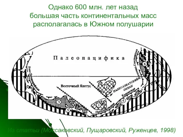 Однако 600 млн. лет назад большая часть континентальных масс располагалась в Южном