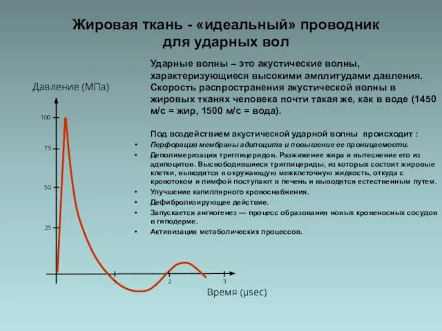 Жировая ткань - «идеальный» проводник для ударных вол Ударные волны – это