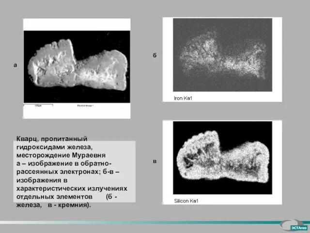 а б Кварц, пропитанный гидроксидами железа, месторождение Мураевня а – изображение в