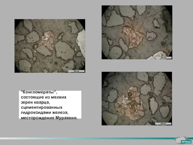 "Конгломераты", состоящие из мелких зерен кварца, сцементированных гидроксидами железа, месторождение Мураевня.