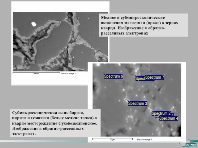 Мелкое и субмикроскопические включения магнетита (яркое) в зернах кварца. Изображение в обратно-рассеянных