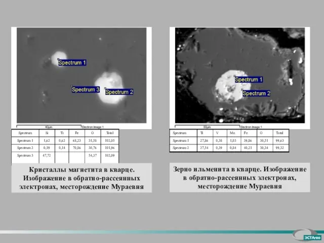 Кристаллы магнетита в кварце. Изображение в обратно-рассеянных электронах, месторождение Мураевня Зерно ильменита