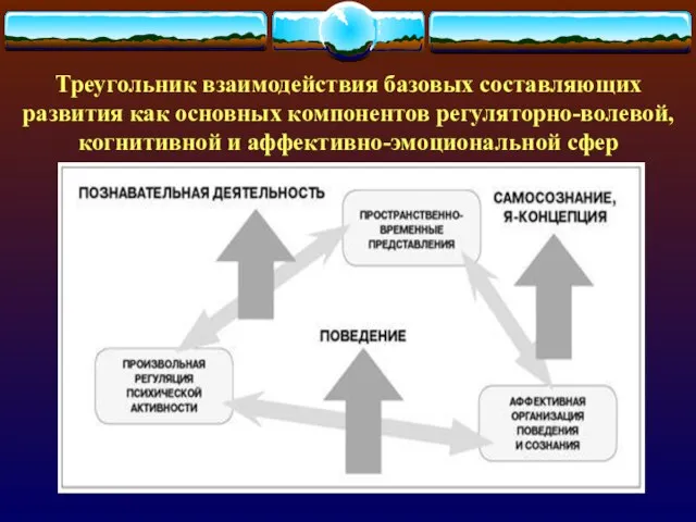 Треугольник взаимодействия базовых составляющих развития как основных компонентов регуляторно-волевой, когнитивной и аффективно-эмоциональной сфер