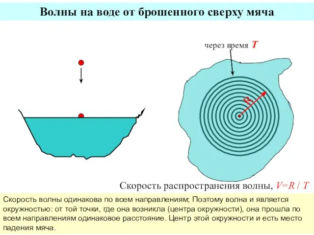 Волны на воде от брошенного сверху мяча R Скорость распространения волны, V=R