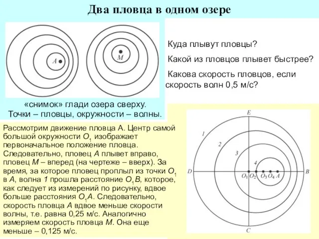 Куда плывут пловцы? Какой из пловцов плывет быстрее? Какова скорость пловцов, если