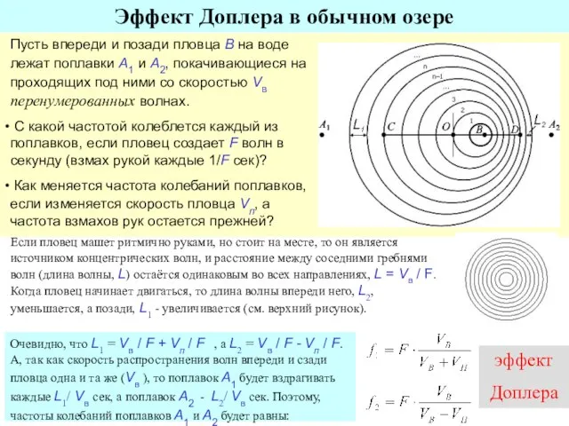 Эффект Доплера в обычном озере Пусть впереди и позади пловца B на