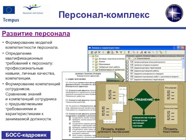 БОСС-кадровик Формирование моделей компетентности персонала. Определение квалификационных требований к персоналу: профессиональные навыки,