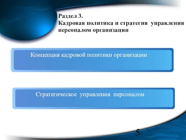 Раздел 3. Кадровая политика и стратегия управления персоналом организации