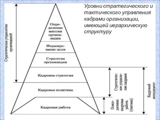 Уровни стратегического и тактического управления кадрами организации, имеющей иерархическую структуру