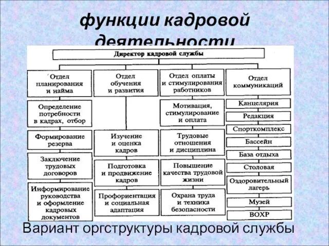 функции кадровой деятельности Вариант оргструктуры кадровой службы