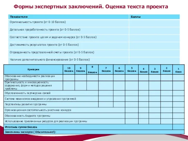 Формы экспертных заключений. Оценка текста проекта