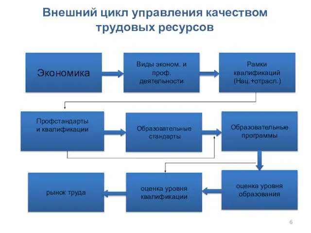 Внешний цикл управления качеством трудовых ресурсов Экономика Виды эконом. и проф. деятельности