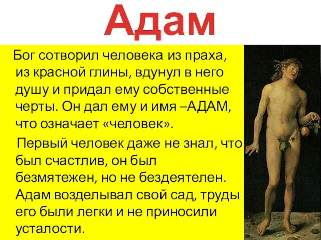 Адам Бог сотворил человека из праха, из красной глины, вдунул в него
