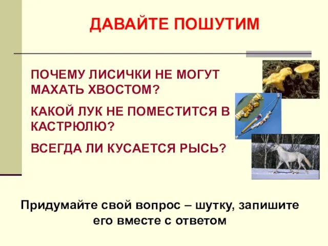 ДАВАЙТЕ ПОШУТИМ ПОЧЕМУ ЛИСИЧКИ НЕ МОГУТ МАХАТЬ ХВОСТОМ? КАКОЙ ЛУК НЕ ПОМЕСТИТСЯ