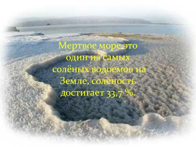 Мертвое море это один из самых солёных водоемов на Земле, солёность достигает 33,7 %.