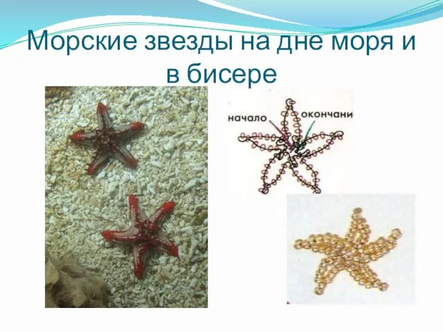 Морские звезды на дне моря и в бисере