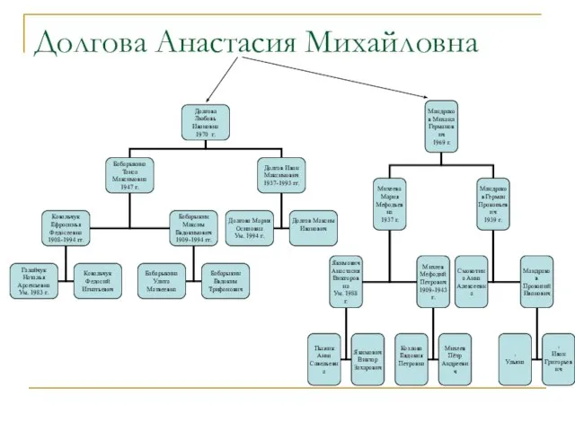 Долгова Анастасия Михайловна