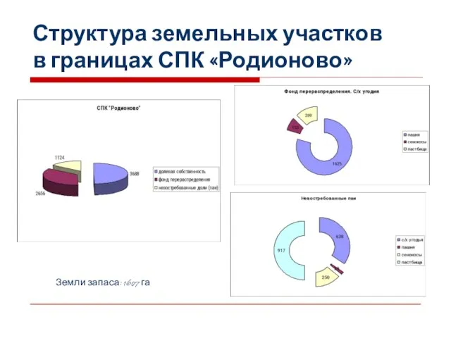 Структура земельных участков в границах СПК «Родионово» Земли запаса: 1607 га