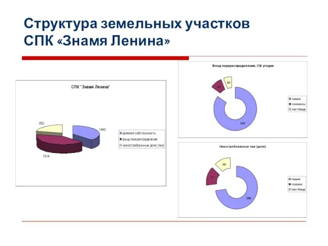 Структура земельных участков СПК «Знамя Ленина»