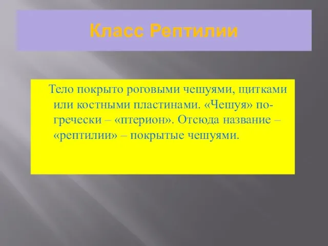 Класс Рептилии Тело покрыто роговыми чешуями, щитками или костными пластинами. «Чешуя» по-гречески