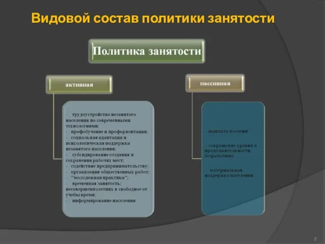 Видовой состав политики занятости