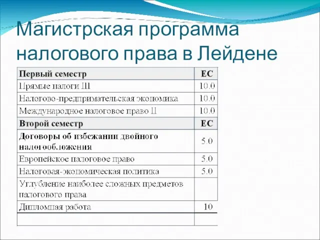 Магистрская программа налогового права в Лейдене