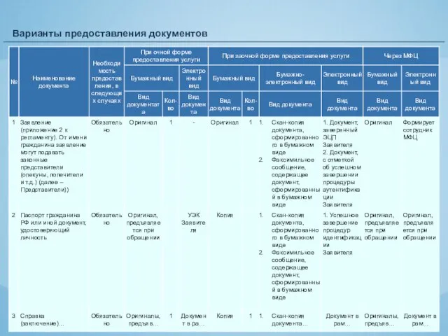 Варианты предоставления документов