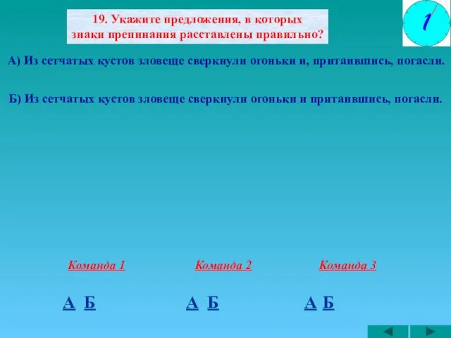 19. Укажите предложения, в которых знаки препинания расставлены правильно? А) Из сетчатых