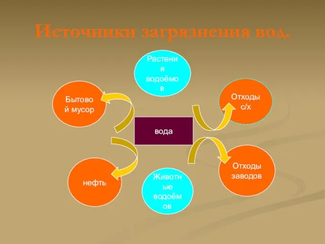 Источники загрязнения вод. Растения водоёмов Отходы с/х Бытовой мусор Животные водоёмов Отходы заводов нефть вода